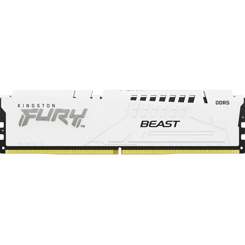 Kingston FURY Beast KF552C40BWK2-32