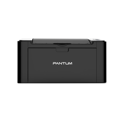 Pantum P2516
