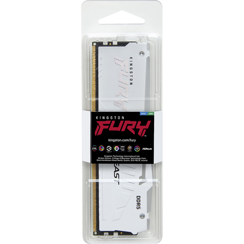 Kingston FURY Beast KF556C36BWEA-16