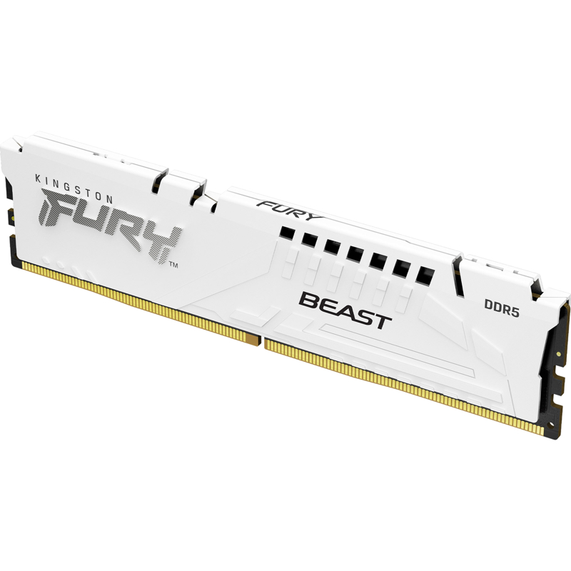 Kingston FURY Beast KF552C40BW-16