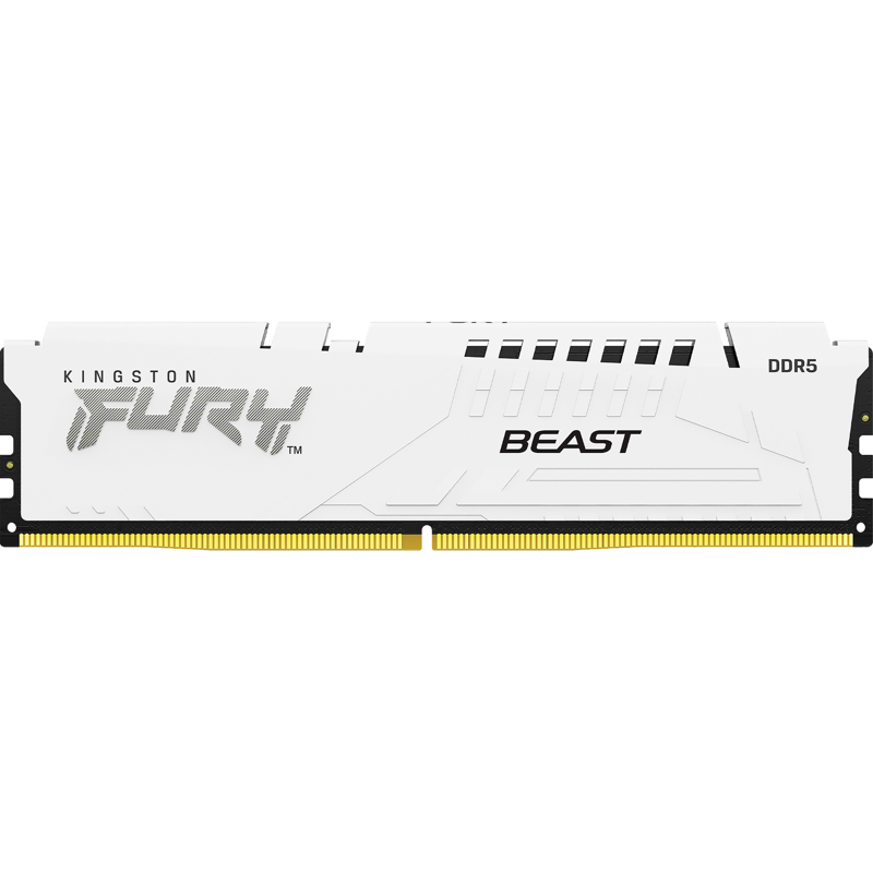 Kingston FURY Beast KF552C40BW-16