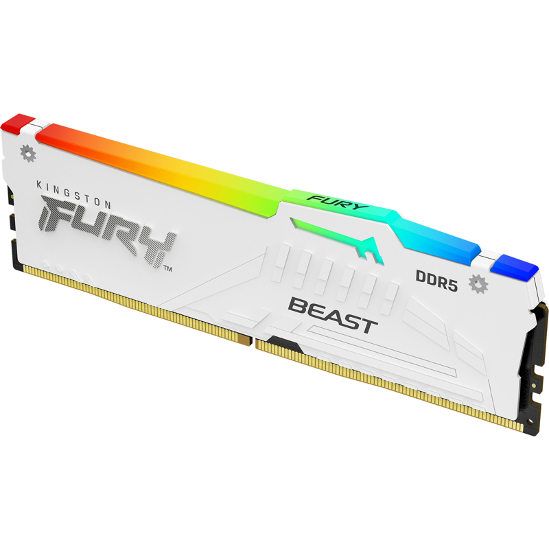 Kingston FURY Beast KF556C36BWEA-16