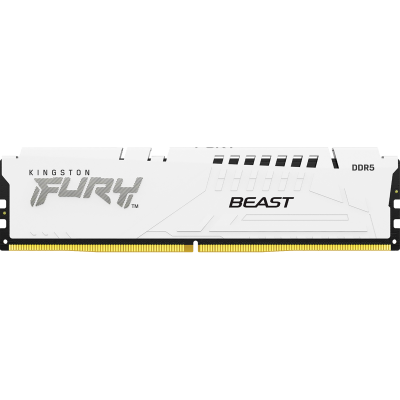 Kingston FURY Beast KF552C40BW-16