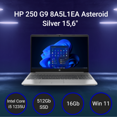 Ноутбук HP 250 G9 [8A5L1EA] Asteroid Silver 15,6"