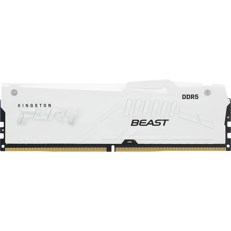 Kingston FURY Beast KF556C36BWEA-16