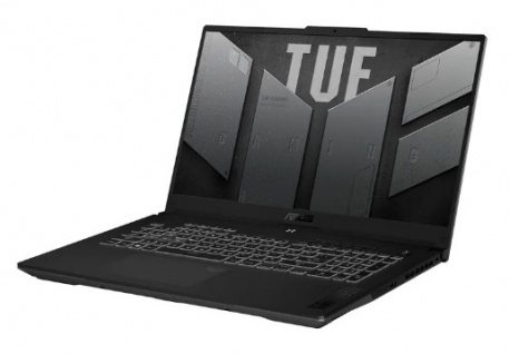 Игровой ноутбук ASUS TUF Gaming FX707VJB-HX100 [90NR0MY5-M003R0] Grey 17.3"