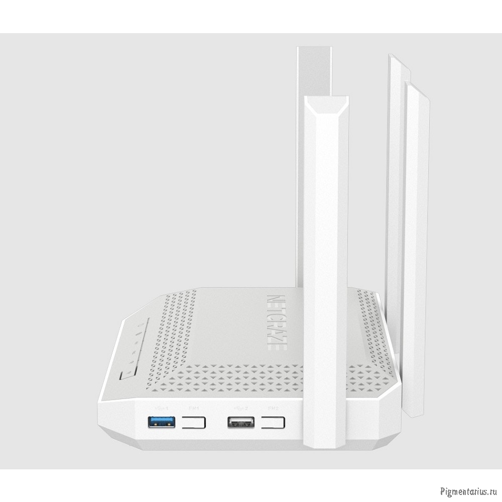 Netcraze Giga NC-1012