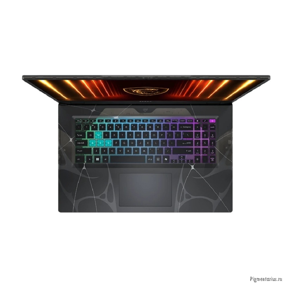 MSI Cyborg 17 B13WFKG-218XRU [9S7-17U332-218] Black 17.3" {FHD  i5-13420H/16Gb/SSD1Tb/RTX5060 8Gb/No