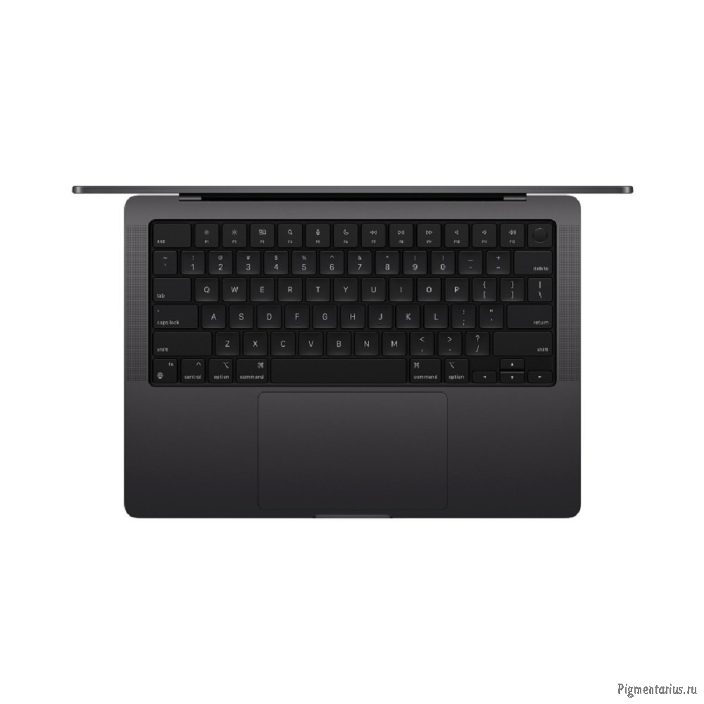 Ноутбук Apple MacBook Pro 14-inch 2024 [MX2H3RU/A] Space Black 14.2"