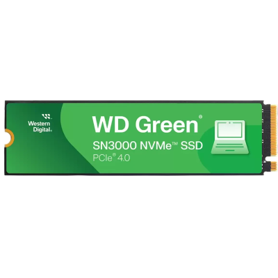 WD WDS100T4G0E