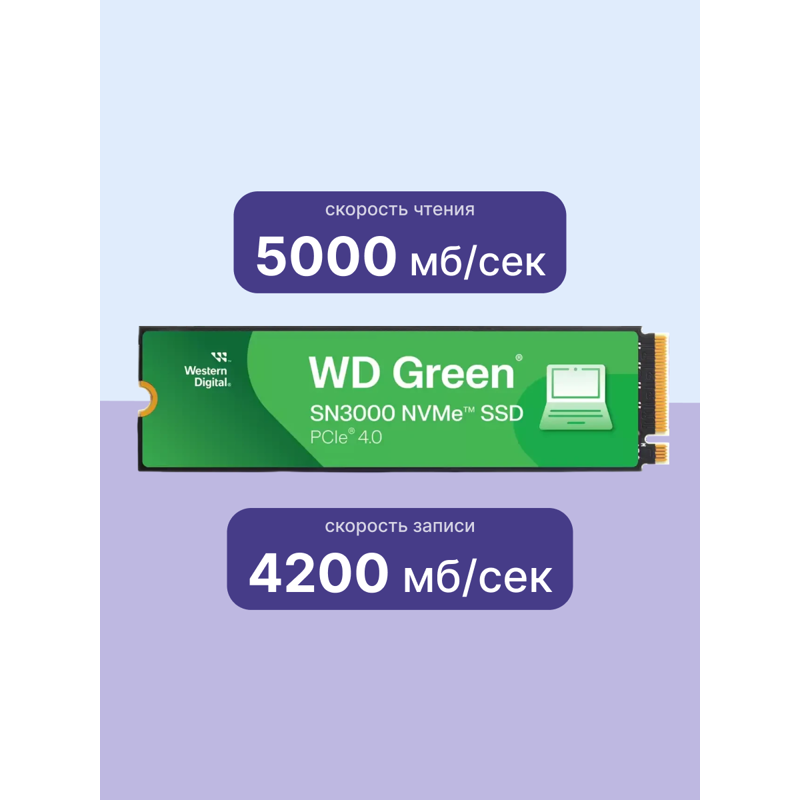 WD WDS100T4G0E