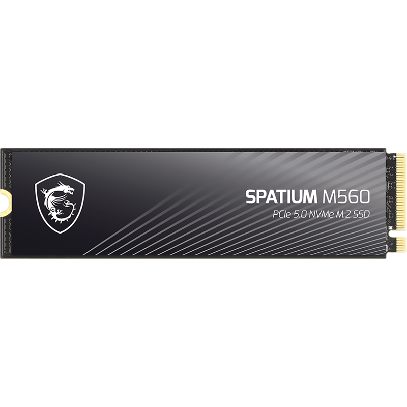 MSI SPATIUM M560 (S78-440Q940-P83)