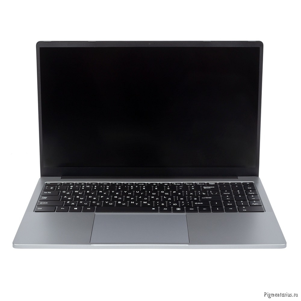 Ноутбук Hiper DZEN [H1569O582DMP] Silver 15.6"