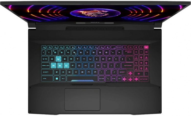 Игровой ноутбук MSI Cyborg 17 B13WEKG-216XRU [9S7-17U332-216] Black 17.3"