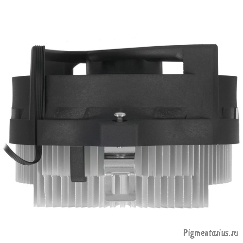 Cooler Arctic Alpine 23 CO ACALP00036A Cooler Arctic Alpine 23 CO ACALP00036A