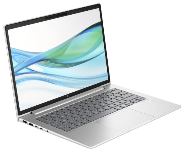 Ноутбук HP ProBook 445 G11 [A1RM4UT] Pike Silver 14"
