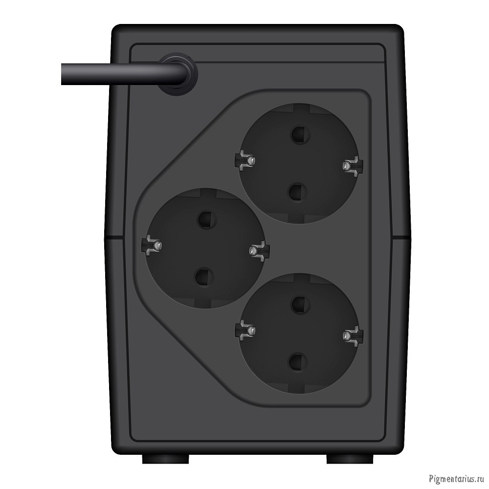 Ippon Back Basic 850S Euro {1373876}