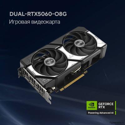 Видеокарта ASUS GeForce RTX5060 8Gb DDR7 128 bit 3*DP/HDMI 2FAN (DUAL-RTX5060-O8G) RTL