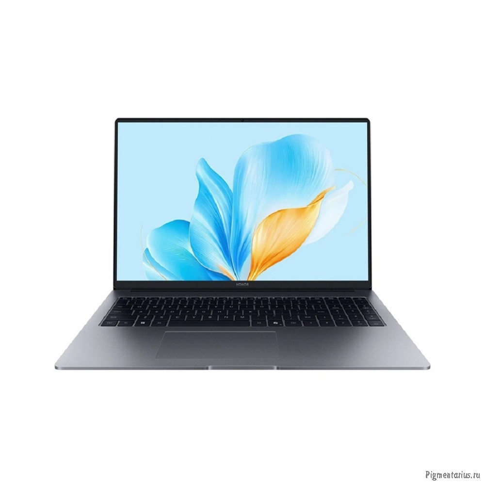 Ноутбук Honor MagicBook X16 2025 (5301ALWQ) 16"