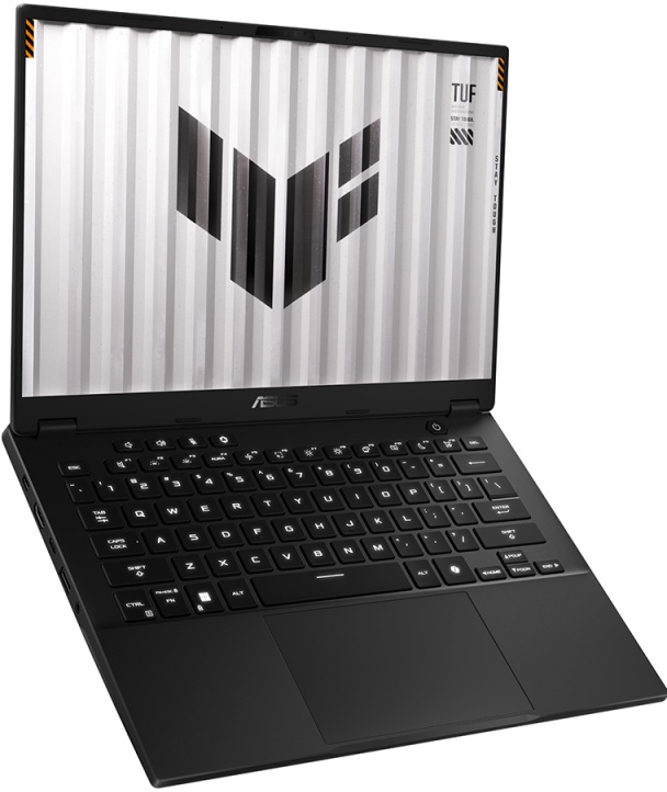 Игровой ноутбук Asus TUF FA401UV-RG043 [90NR0JB1-M002S0] Grey 14"