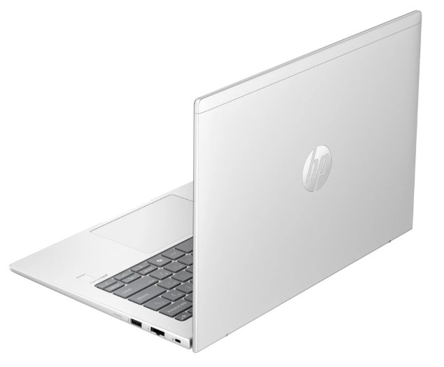 Ноутбук HP ProBook 445 G11 [A1RM4UT] Pike Silver 14"