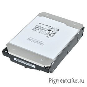 20TB Toshiba Server (MG10SCA20TE) SAS, 7200 rpm, 512Mb buffer, 3.5"}