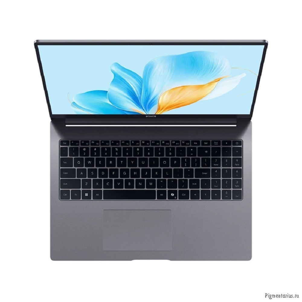 Ноутбук Honor MagicBook X16 2025 (5301ALWQ) 16"