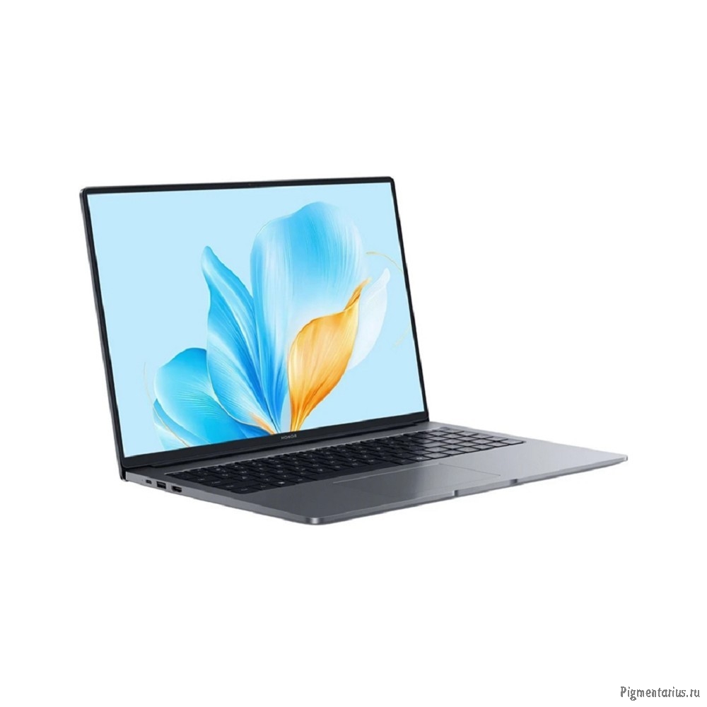 Ноутбук Honor MagicBook X16 2025 (5301ALWQ) 16"