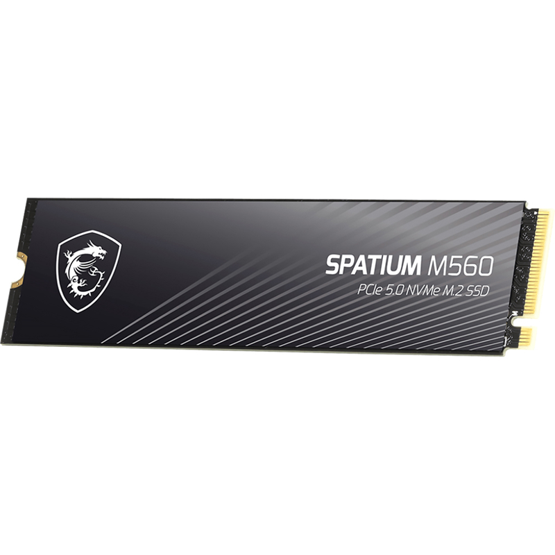 MSI SPATIUM M560 (S78-440Q940-P83)