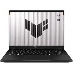 Игровой ноутбук Asus TUF FA401UV-RG043 [90NR0JB1-M002S0] Grey 14"